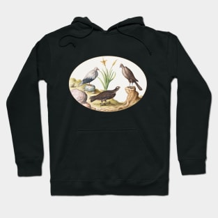 Egyptian Vulture and Two Eagles (1575–1580) Hoodie